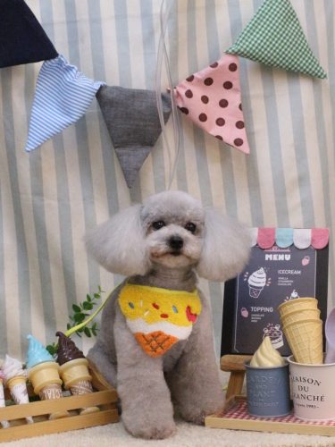 20250531ロンくん